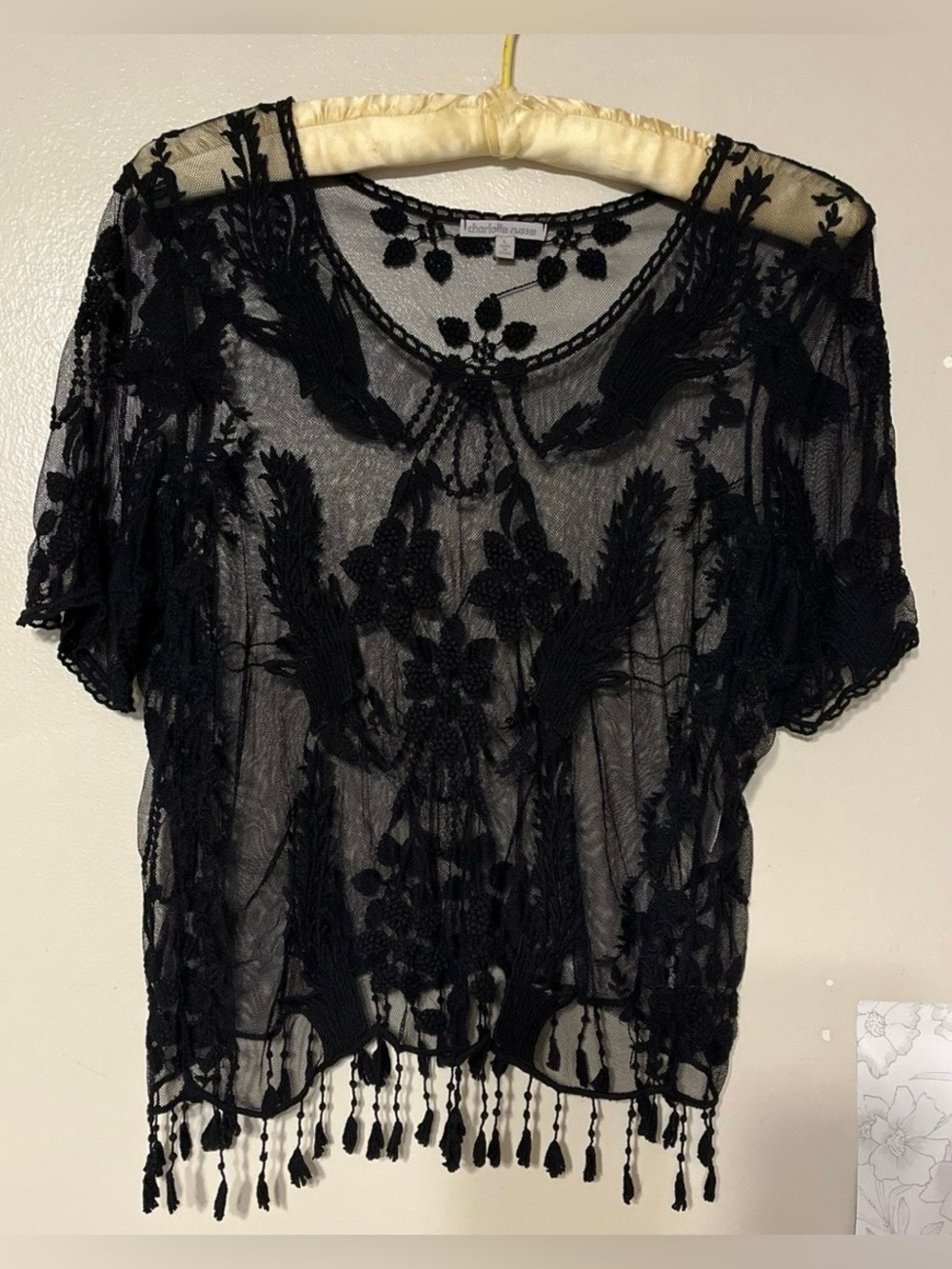 Charlotte Russe  Embroidered & mesh, Tassel Top